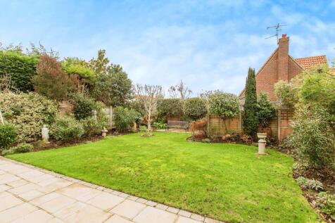 South Facing Garden