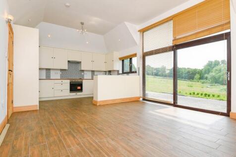 Kitchen/Living Area