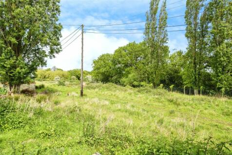View Of Meadow