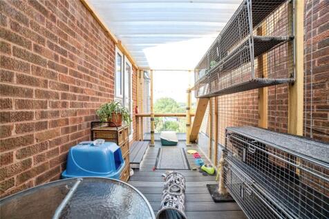 Catio