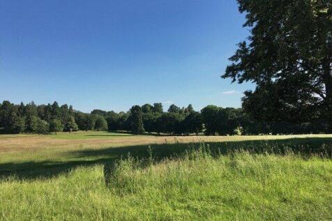 Wollaton Park View