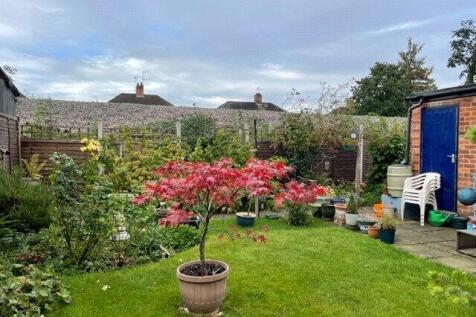 Summer Garden Pic
