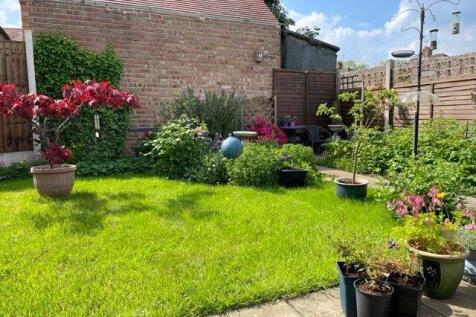 Summer Garden Pic