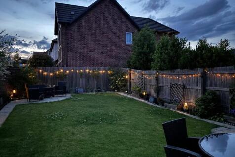 Dusk Garden