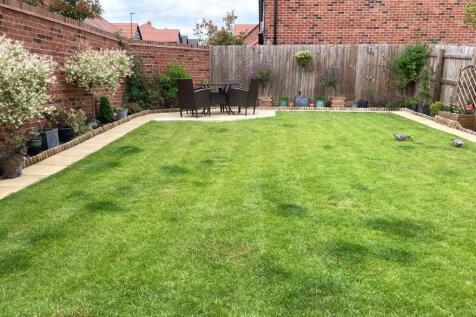 Summer Garden
