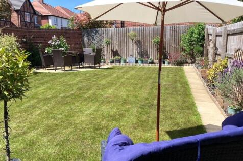 Summer Garden