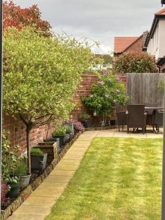 Summer Garden