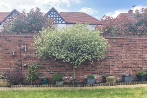 Summer Garden