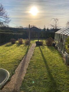 Mid Afternoon Garden