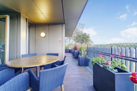 Communal Terrace