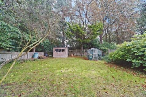 Rear End Garden