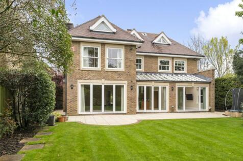 Rear Elevation
