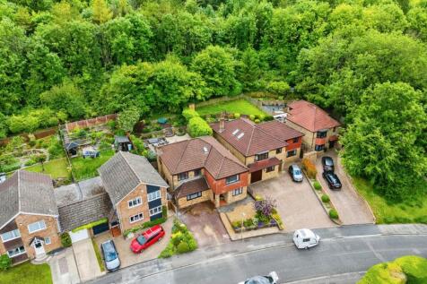 Drone View