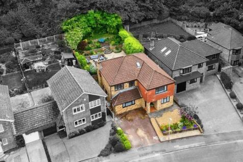 Drone View