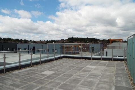 Rooftop Garden
