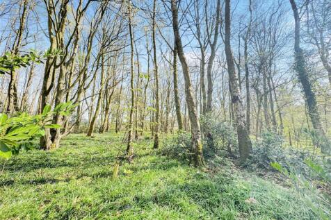 Woodland