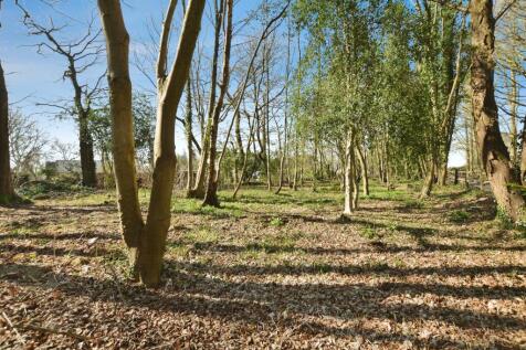 Woodland