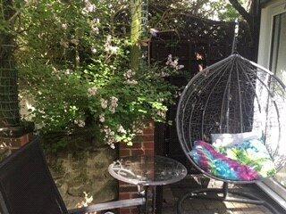 Rear Courtyard