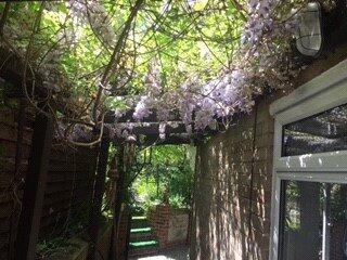 Rear Courtyard