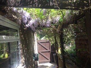 Rear Courtyard