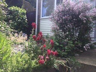 Rear Courtyard