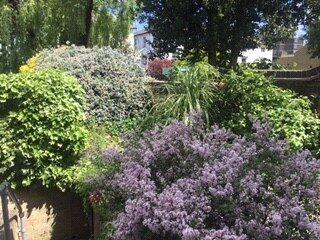 Rear Courtyard