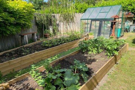 Vegetable Garden