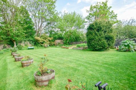 Communal Garden