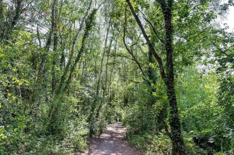 Walks Nearby