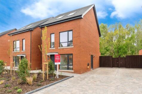 Plot 6