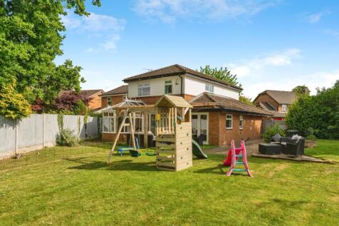 Back Garden