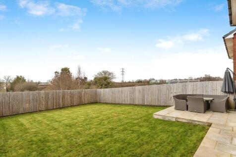 Back Garden