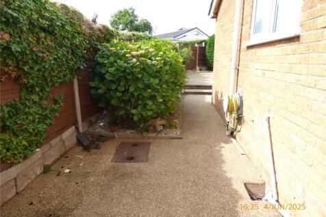Side Garden