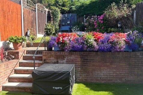 Summer Photo 2024