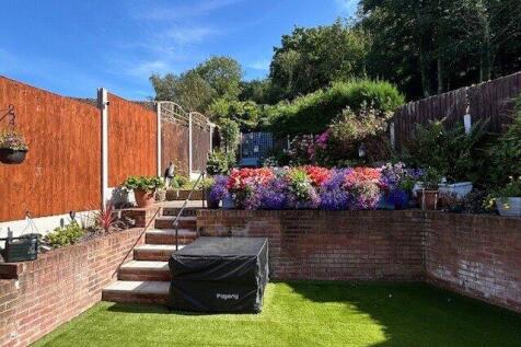 Summer Photo 2024