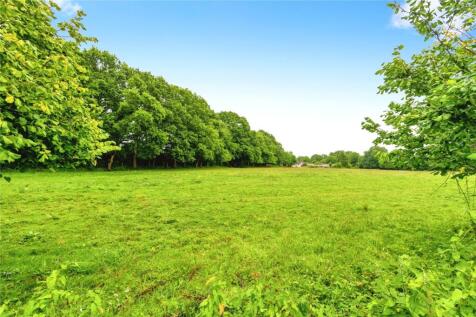 Views At The Copse