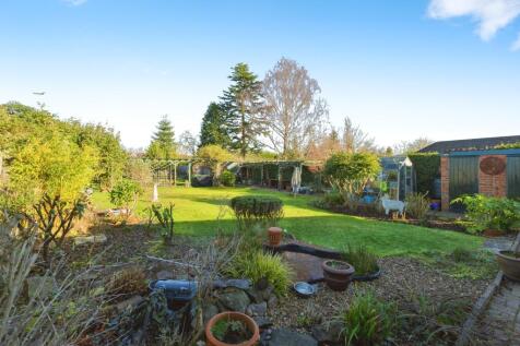 Back Garden