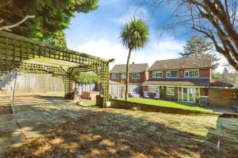 Back Garden