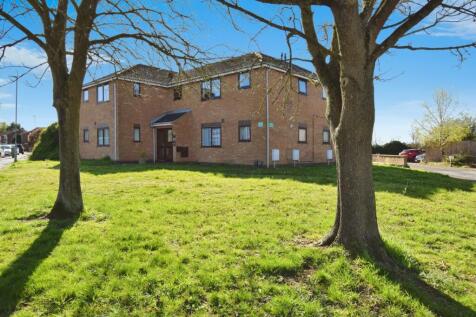 Rear Of The Property