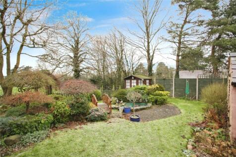 Back Garden