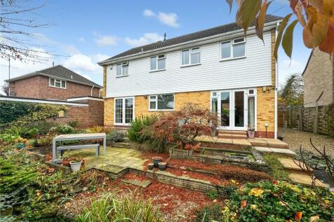 Garden &amp; Rear