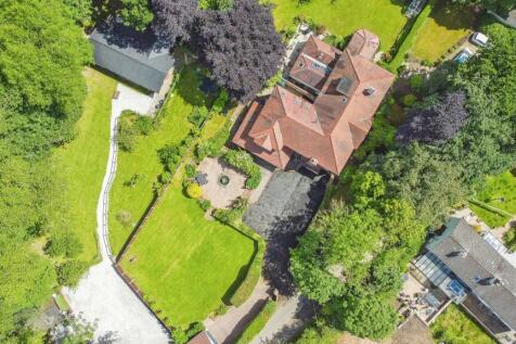 Birds Eye View