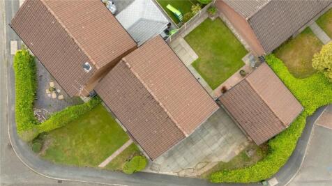 Bird Eye View
