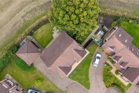 Birds Eye View