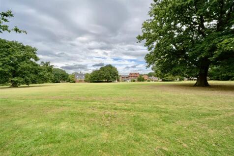 Playing Field