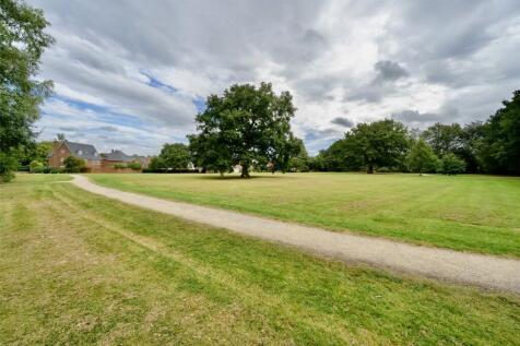 Playing Field