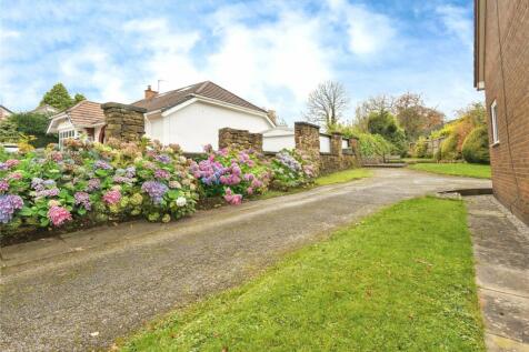 Driveway View