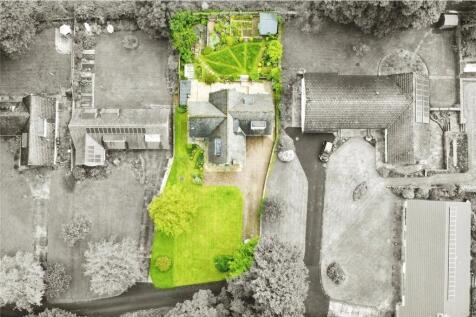 Spacious Plot