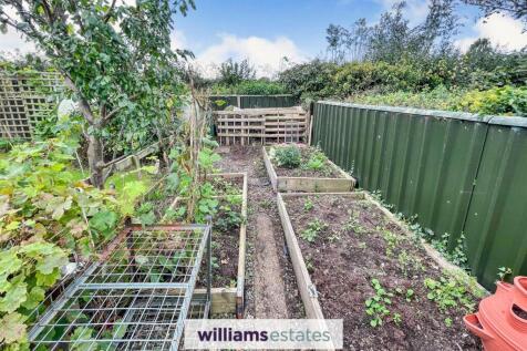 Vegetable Plot