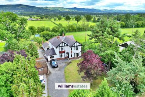 Aerial Shot